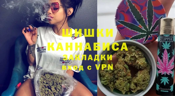 бошки Заводоуковск